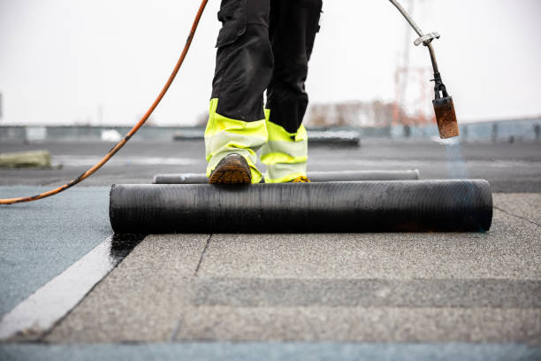 Best Cold Roofs  in Montgomery, IN