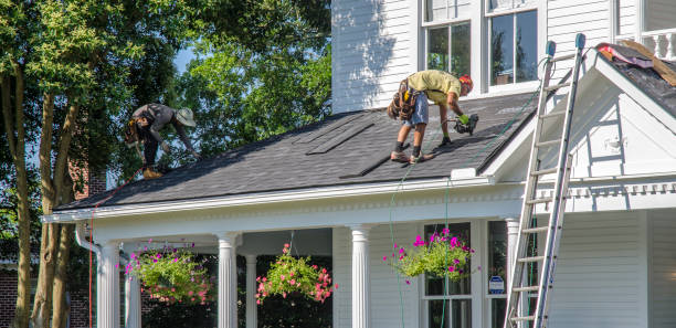 Best Roof Moss and Algae Removal  in Montgomery, IN